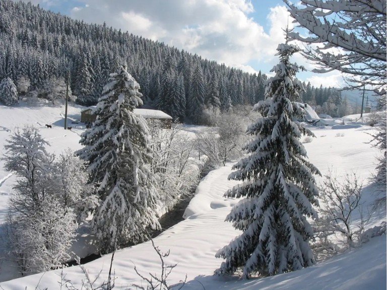 Winter im Haslachtal Feldberg Erdgeschosswohnung VERKAUFT... Gem�tliche Zweizimmerwohnung in ruhiger und sonniger S�dhanglage von Feldberg-Falkau