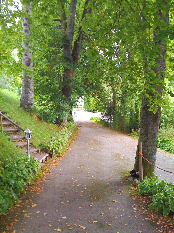 Der Weg zum Haus Etagenwohnung Hinterzarten