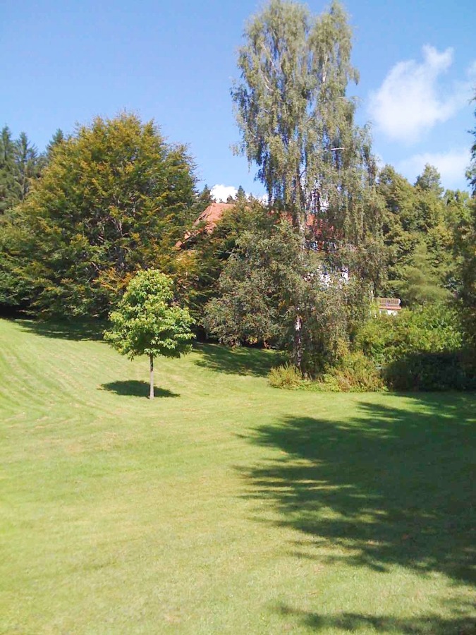 Gartenimpression Etagenwohnung Hinterzarten