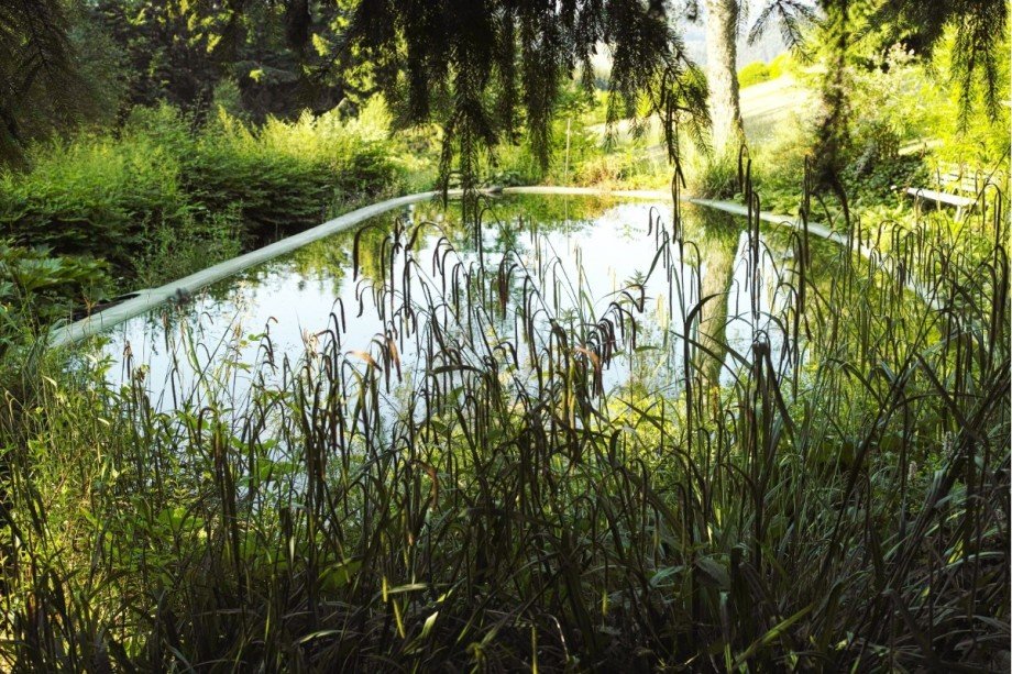 Eine k�hle Oase Etagenwohnung Hinterzarten