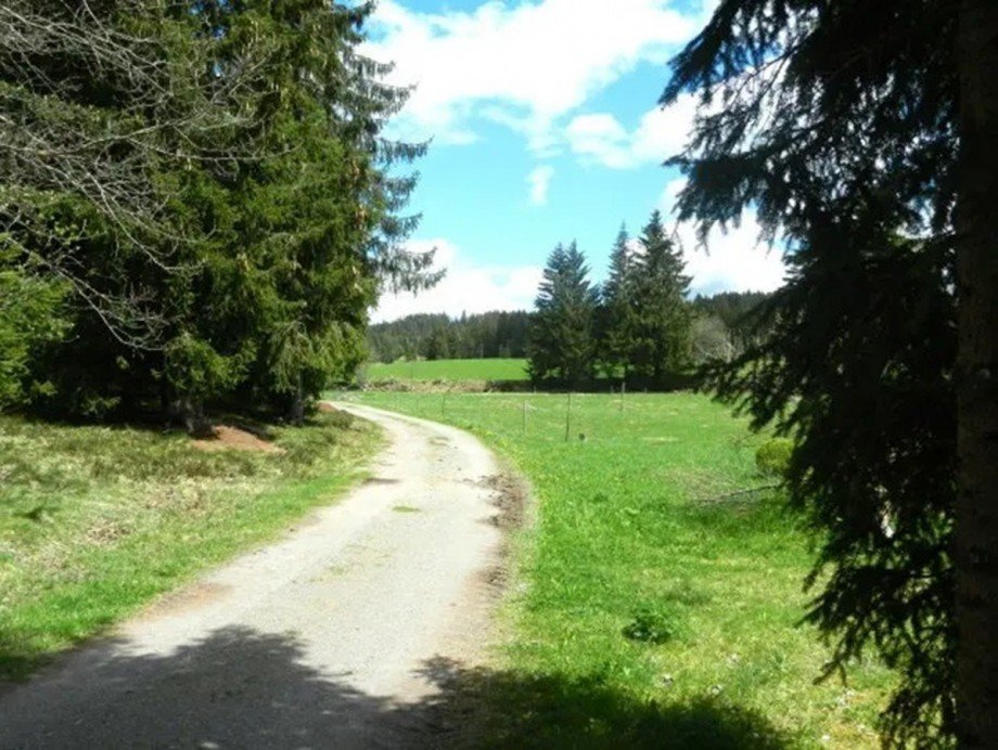 Hinterm Haus die Freiheit Einfamilienhaus Schluchsee