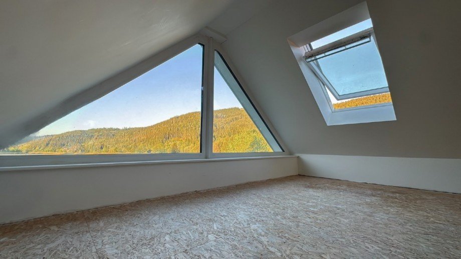Dachspitz Einfamilienhaus Titisee-Neustadt