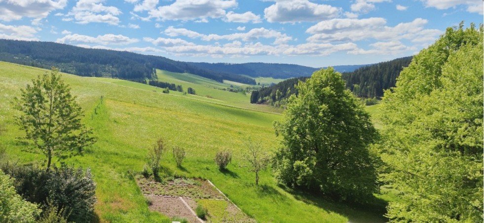 Blick in Richtung S�den Landhaus Titisee-Neustadt