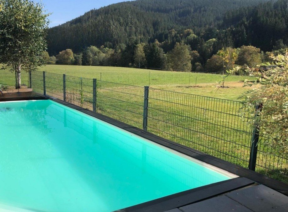 Der Pool Einfamilienhaus Titisee-Neustadt