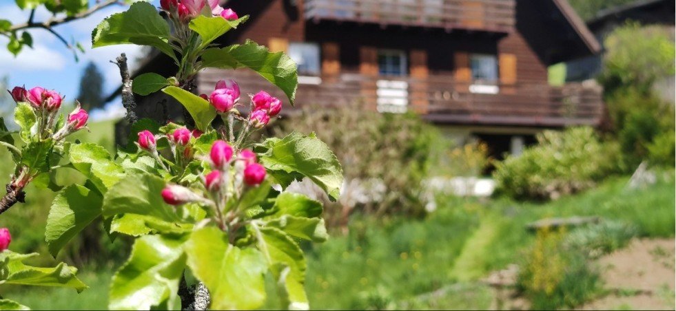 Ansicht von S�den Landhaus Titisee-Neustadt